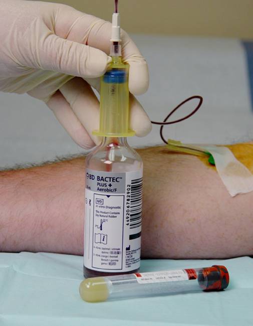 LabFlorida - Clinical Lab Testing in Tampa Bay Florida - ALF, Home