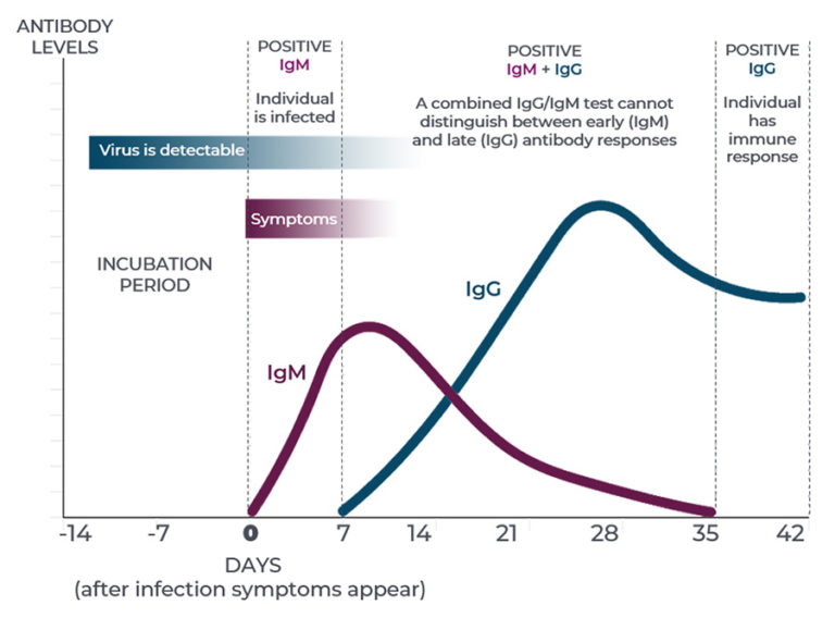 LabFlorida SARSCoV2 Antibody Assays from Beckman Coulter Clinical Lab Testing in Tampa Bay
